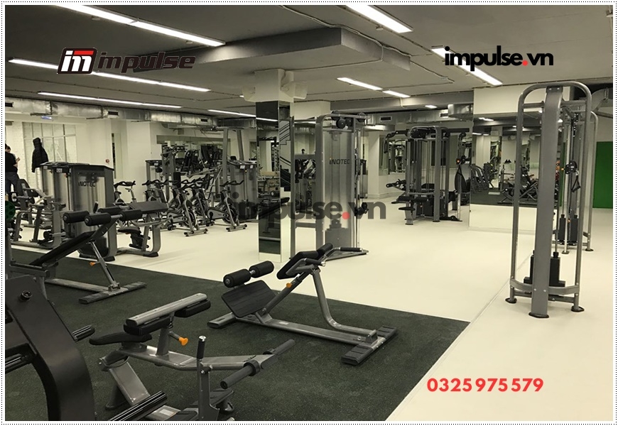 Hướng dẫn tập gym đúng cách qua việc dùng các thiết bị tập gym cầm tay