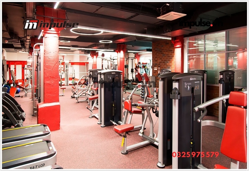 5 thiết bị tập Gym nên có trong phòng tập gym, phòng tập thể hình