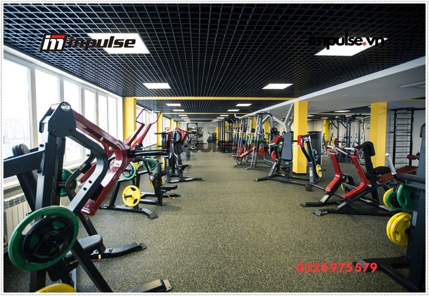 Thiết bị tập gym cơ bản cho phòng gym