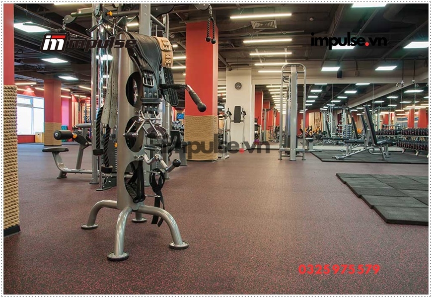 Dụng cụ tập gym tại nhà tốt cho nam và nữ