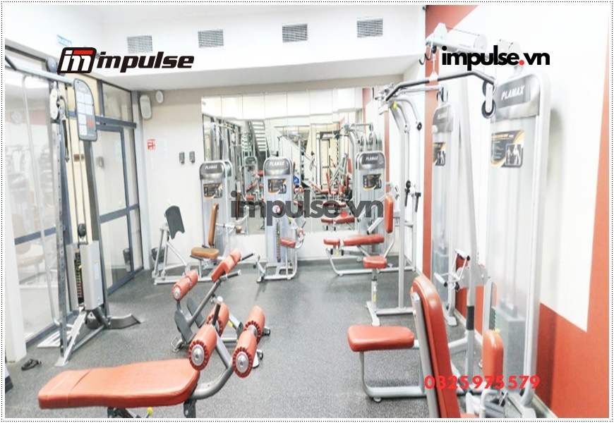 Giàn tạ đa năng là gì? Lợi ích của giàn tạ đa năng 